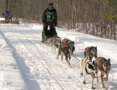 Sled dog races. Sled dog races.