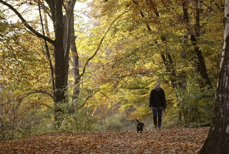 A woman and her dog walk along trees during a sunny autumn day in a park at Berlin's Wilmersdorf district November 7, 2011. REUTERS/Fabrizio A woman and her dog walk along trees during a sunny autumn day in a park at Berlin's Wilmersdorf district November 7, 2011. REUTERS/Fabrizio