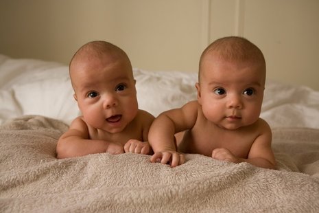 babies babies