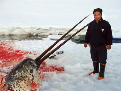 File photo dated May 12, 2007 shows sealer Aron Aqqaluk Kristiansen from the Kangersuatsiaq, Upernavik commune in Greenland posing with the File photo dated May 12, 2007 shows sealer Aron Aqqaluk Kristiansen from the Kangersuatsiaq, Upernavik commune in Greenland posing with the