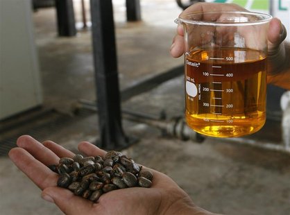 A worker shows a sample of biodiesel made from castor beans (L) at a biodiesel refinery in Iraquara, 310 miles (500 km) west of the Bahia st A worker shows a sample of biodiesel made from castor beans (L) at a biodiesel refinery in Iraquara, 310 miles (500 km) west of the Bahia st