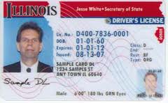 Illinois Drivers License Illinois Drivers License