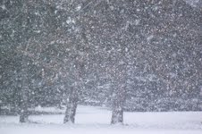 Snow Snow