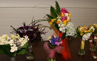 Sheboygan Bridal Showcase 2013 8