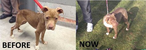 He has filled out nicely. He has filled out nicely.