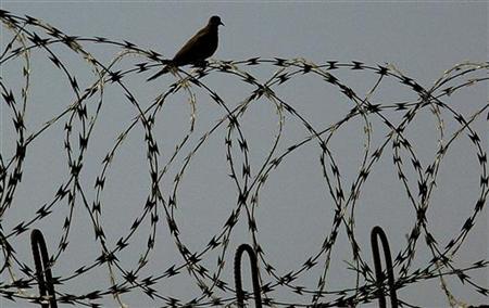 Prison fence Prison fence