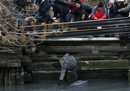 A man reaches down to pat a dolphin as it struggles along a bulkhead in the headwaters of the Gowanus Canal as others look on in Brooklyn, N A man reaches down to pat a dolphin as it struggles along a bulkhead in the headwaters of the Gowanus Canal as others look on in Brooklyn, N