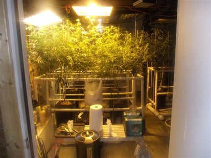 One of the four rooms they were using to grow the marijuana. One of the four rooms they were using to grow the marijuana.