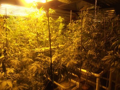 It was a jungle in there. It was a jungle in there.