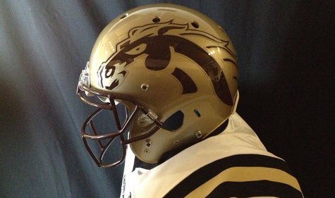 WMU new 2013 helmets.