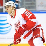 Red Wings Valtteri Filppula Red Wings Valtteri Filppula