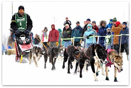 Apostle Islands Sled Dog Race Apostle Islands Sled Dog Race