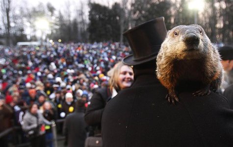 Groundhog co-handler Ron Ploucha holds Punxsutawney Phil in front of a record crowd estimated at 35,000 after Phil's annual weather predicti Groundhog co-handler Ron Ploucha holds Punxsutawney Phil in front of a record crowd estimated at 35,000 after Phil's annual weather predicti