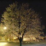 snow and ice snow and ice