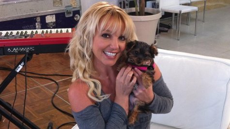 Image courtesy of Image Courtesy Britney Spears via Twitter (via ABC News Radio) Image courtesy of Image Courtesy Britney Spears via Twitter (via ABC News Radio)