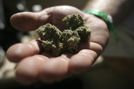 An attendee holds marijuana buds at the International Cannabis & Hemp Expo in Oakland, California September 3, 2011. REUTERS/Mathew Sumner An attendee holds marijuana buds at the International Cannabis & Hemp Expo in Oakland, California September 3, 2011. REUTERS/Mathew Sumner