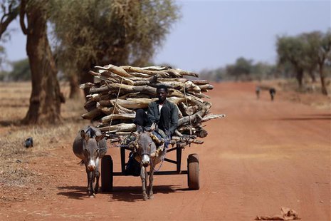 A Malian transports wood with a donkey cart on the road between Timbuktu and Douentza February 4, 2013. Picture taken February 4, 2013 REUTE A Malian transports wood with a donkey cart on the road between Timbuktu and Douentza February 4, 2013. Picture taken February 4, 2013 REUTE