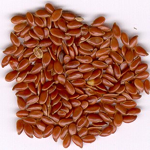 flaxseed flaxseed