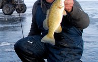 Tom Mitchell hunting in Pierre, SD 4
