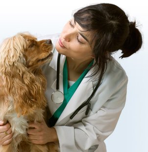 Veterinarian (courtesy of collegecrunch.net) Veterinarian (courtesy of collegecrunch.net)