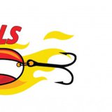 Daredevils Robotics Team