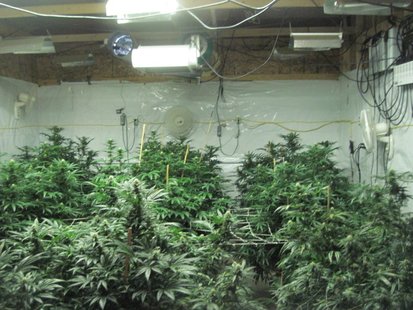 Parts of the pole barn had been converted to grow marijuana plants. Parts of the pole barn had been converted to grow marijuana plants.