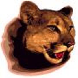The Consortium Cougars have been contenders in the state tourneys for the last two years under Coach Anderson's leadership The Consortium Cougars have been contenders in the state tourneys for the last two years under Coach Anderson's leadership