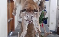 Wisconsin Deer Classic and Hunting Expo 2013 2