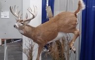 Wisconsin Deer Classic and Hunting Expo 2013: Cover Image