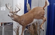 Wisconsin Deer Classic and Hunting Expo 2013 3