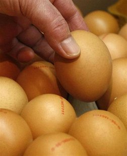 An employee poses for the media with an organic egg in a Natural Foods Store in Berlin November 26, 2008. REUTERS/Fabrizio Bensch An employee poses for the media with an organic egg in a Natural Foods Store in Berlin November 26, 2008. REUTERS/Fabrizio Bensch