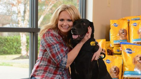 Image courtesy of Facebook.com/Pedigree (via ABC News Radio) Image courtesy of Facebook.com/Pedigree (via ABC News Radio)