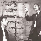 Francis Crick (R) with James D. Watson, co-discoverers of the structure and function of DNA, are shown in this image taken circa 1953 in thi Francis Crick (R) with James D. Watson, co-discoverers of the structure and function of DNA, are shown in this image taken circa 1953 in thi
