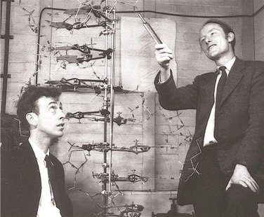 Francis Crick (R) with James D. Watson, co-discoverers of the structure and function of DNA, are shown in this image taken circa 1953 in thi Francis Crick (R) with James D. Watson, co-discoverers of the structure and function of DNA, are shown in this image taken circa 1953 in thi