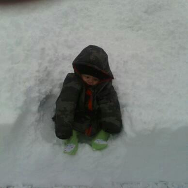 Little guy hanging out in the snow.