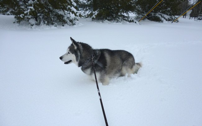 Sasha is having a blast. 