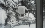 B93 Snow Day  1