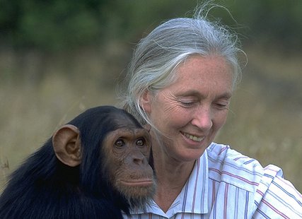 Jane Goodall Jane Goodall