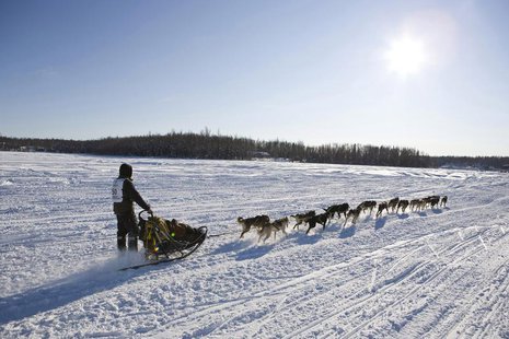 Brent Sass of Fairbanks, Alaska, takes his team towards Nome at the official re-start of the 40th Iditarod Trail Sled Dog Race in Willow, Al Brent Sass of Fairbanks, Alaska, takes his team towards Nome at the official re-start of the 40th Iditarod Trail Sled Dog Race in Willow, Al