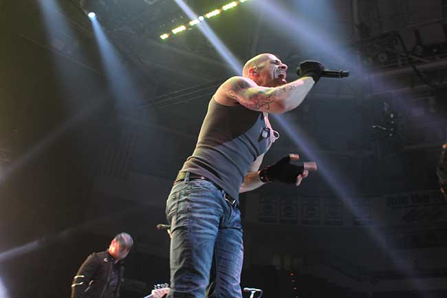 Daughtry