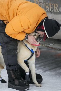 Champion Martin Buser kisses one of his dogs before the re-start of the Iditarod dog sled race in Willow, Alaska March 3, 2013. REUTERS/Nath Champion Martin Buser kisses one of his dogs before the re-start of the Iditarod dog sled race in Willow, Alaska March 3, 2013. REUTERS/Nath
