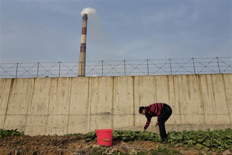 A resident picks vegetables at a vegetable patch next to a smoking chimney of Wuhan Iron And Steel Corp, in Wuhan, Hubei province, March 6, A resident picks vegetables at a vegetable patch next to a smoking chimney of Wuhan Iron And Steel Corp, in Wuhan, Hubei province, March 6,
