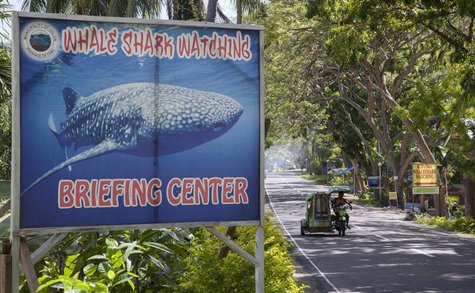 A sign advertising whale shark watching is pictured as a tricycle passes by in the village of Tan-awan, Oslob, in the southern Philippines i A sign advertising whale shark watching is pictured as a tricycle passes by in the village of Tan-awan, Oslob, in the southern Philippines i