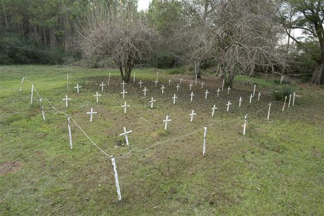 White metal crosses mark graves at the cemetery of the former Arthur G. Dozier School for Boys in Marianna, Florida, December 10, 2012. REUT White metal crosses mark graves at the cemetery of the former Arthur G. Dozier School for Boys in Marianna, Florida, December 10, 2012. REUT