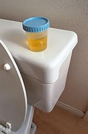 Drug Screening Drug Screening
