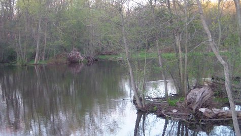 It looks clean but pockets of oil have sunk to the bottom of the river. It looks clean but pockets of oil have sunk to the bottom of the river.