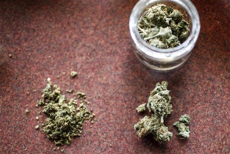 Marijuana is broken up for use by customers at Frankie Sports Bar and Grill in Olympia, Washington on December 9, 2012. REUTERS/Nick Adams Marijuana is broken up for use by customers at Frankie Sports Bar and Grill in Olympia, Washington on December 9, 2012. REUTERS/Nick Adams