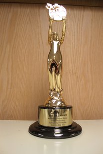 The much coveted AVA Digital Award The much coveted AVA Digital Award