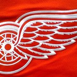 Red Wings logo. Red Wings logo.