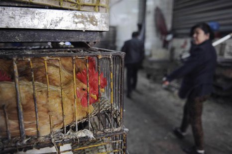 A woman walks by cages of poultry that are for sale at a market in Hefei, Anhui province, April 1, 2013. REUTERS/Stringer (CHINA - Tags: HEA A woman walks by cages of poultry that are for sale at a market in Hefei, Anhui province, April 1, 2013. REUTERS/Stringer (CHINA - Tags: HEA